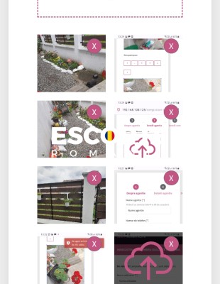 Escorta singuri pe lumea asta