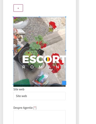 Escorta singuri pe lumea asta